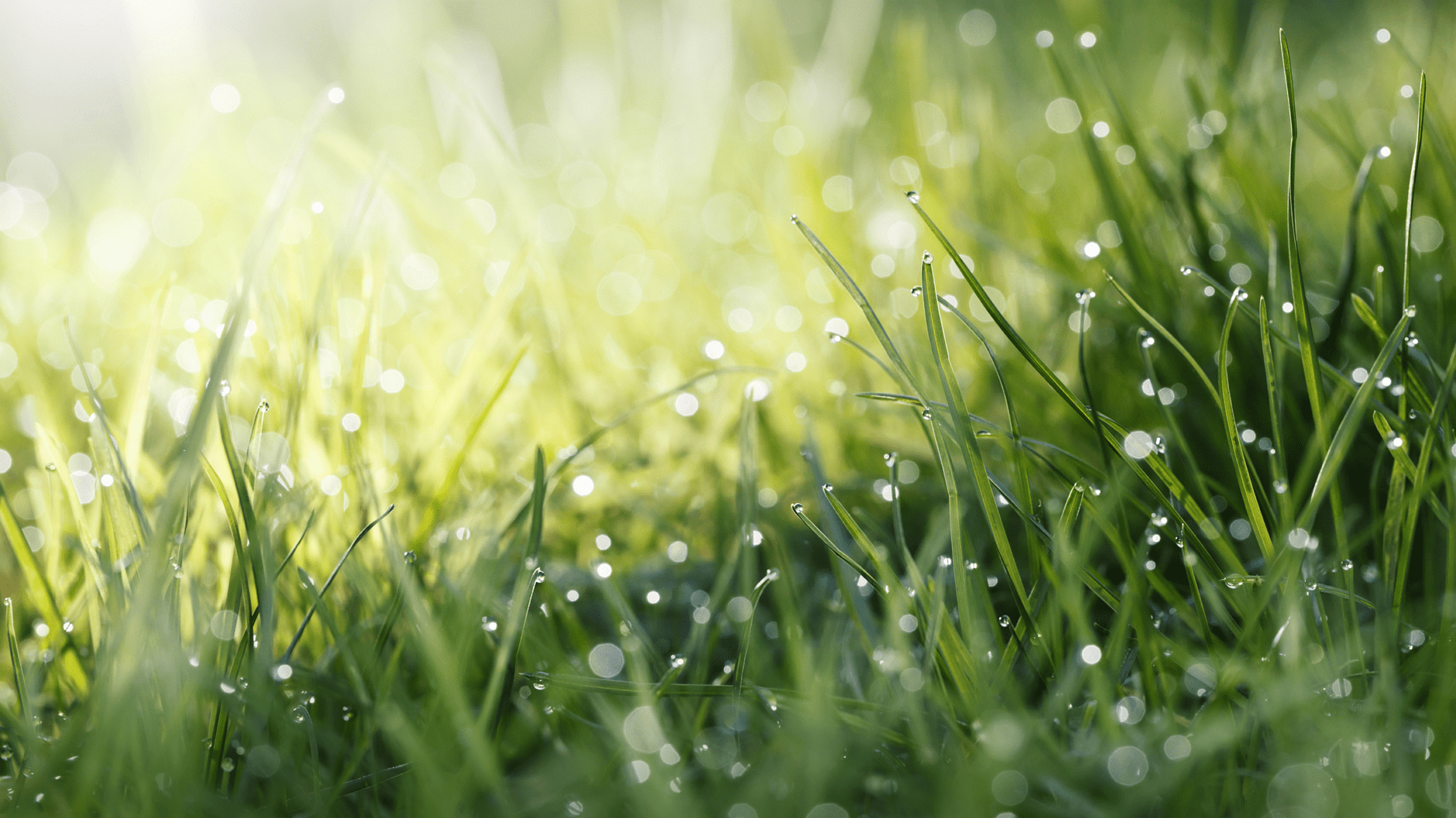 Beiersdorf e o Planeta